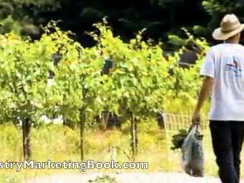 Ministry Marketing: Provision From Word & Kingdom Training