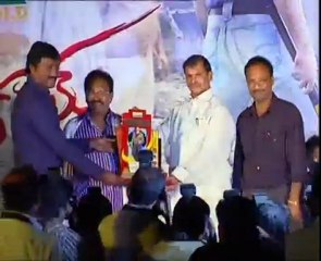 Ravi Teja's Mirapakaya - Triple Platinum Disc Function - 04