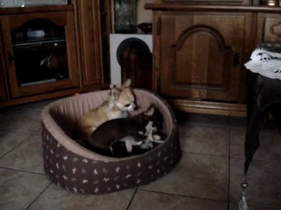 30du7en 2010 019  kenji et chanel