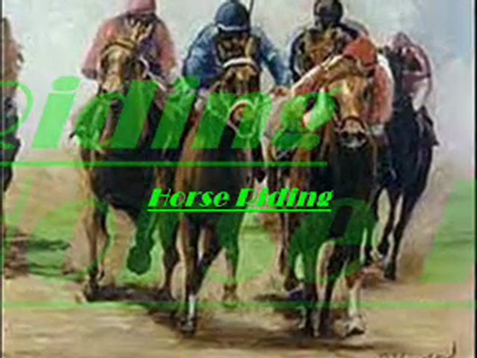 Horse Riding
