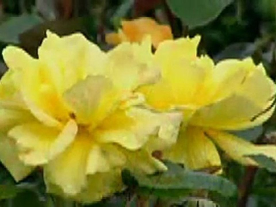 Chloë Agnew - Nella Fantasia_(360p)