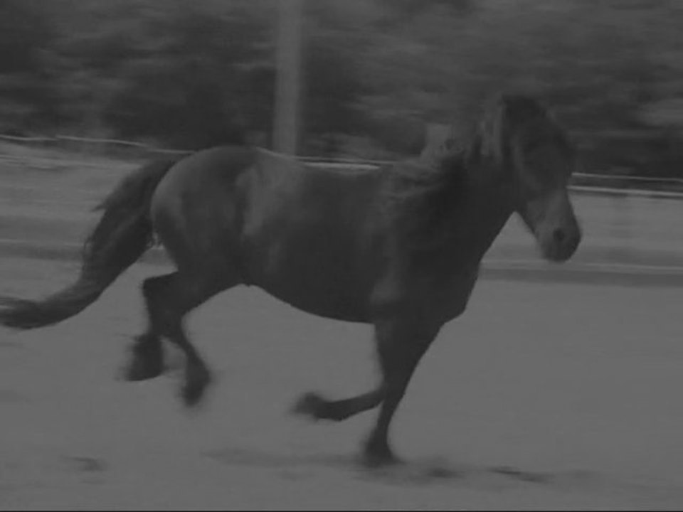 Libre... comme le vent.