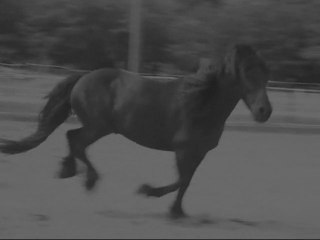 Libre... comme le vent.