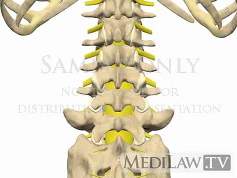 Lumbar Spine Movement Inter-vertebral Rotation chiropractry animations
