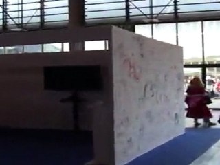 19 Murs Hope for Japan Japan expo 2011