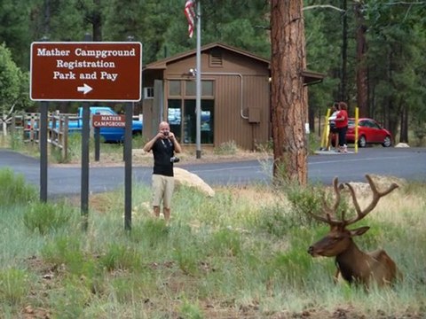 Grand Canyon et powell