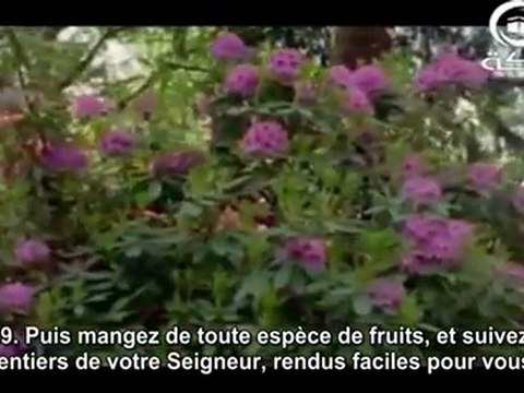 Sourate An-Nahl (16); Versets 64 à 69