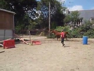 Ecuries du Nevez Unica 1