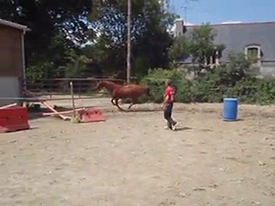 Ecuries du Nevez Unica 2