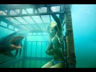 Shark Night 3D Movie Trailers HD
