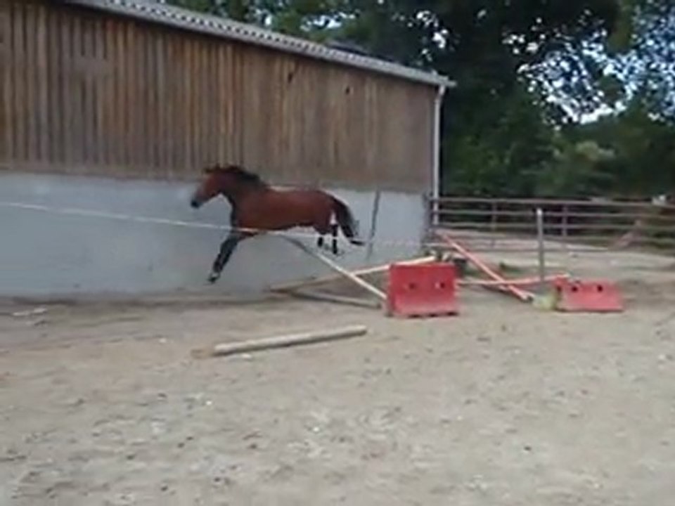 Ecuries du Nevez Un Diamant