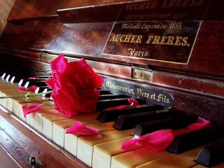 Douce Mélodie Romantique