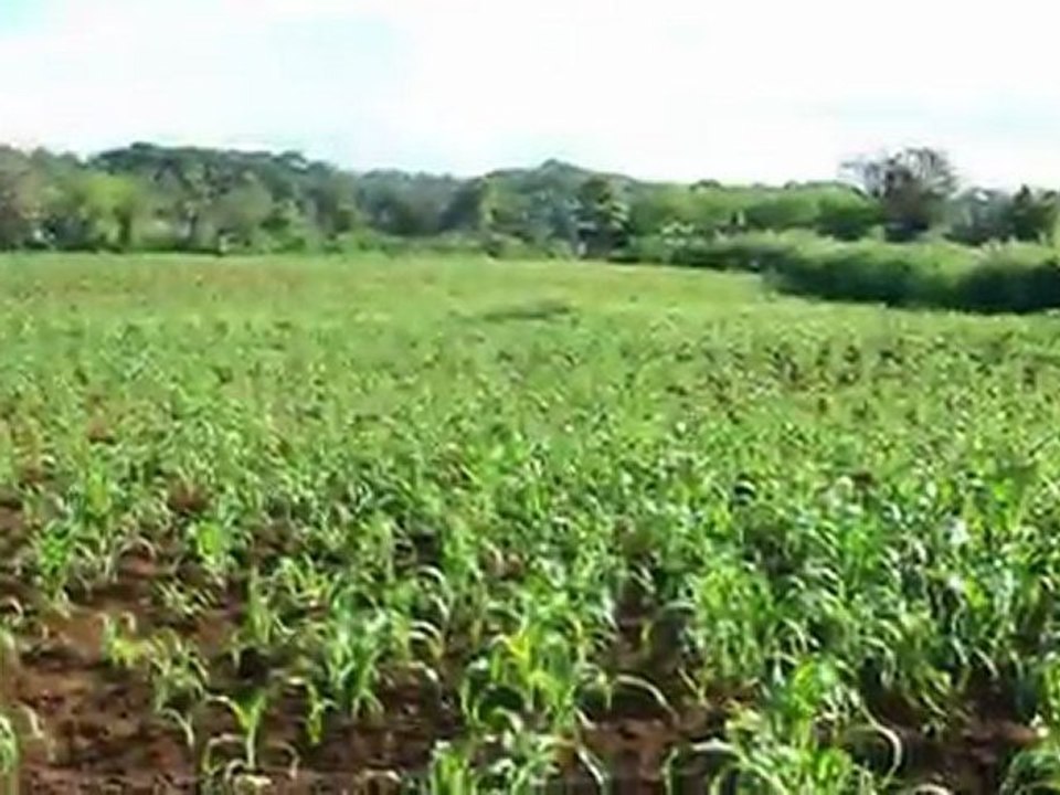 Venta de Terreno en La Esperanza, Intibuca