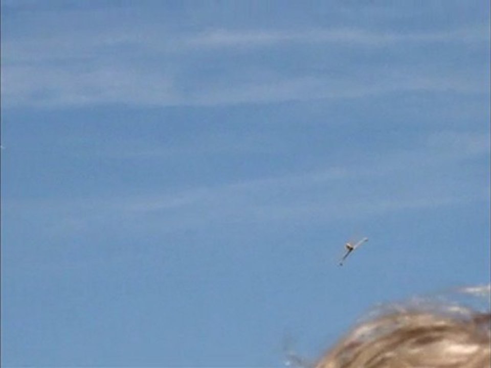 IMC 2011