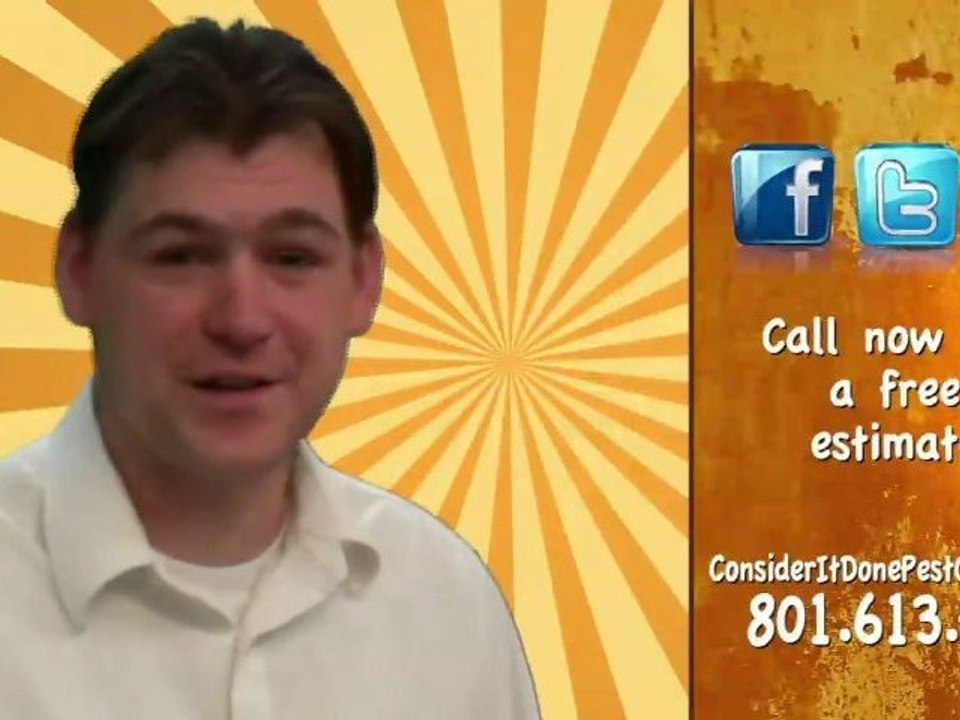 Pest Control Layton - What if a rodent died in my wall?