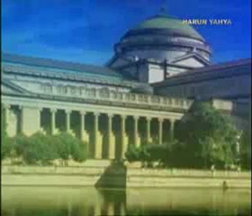 Atın evrimi yalanı