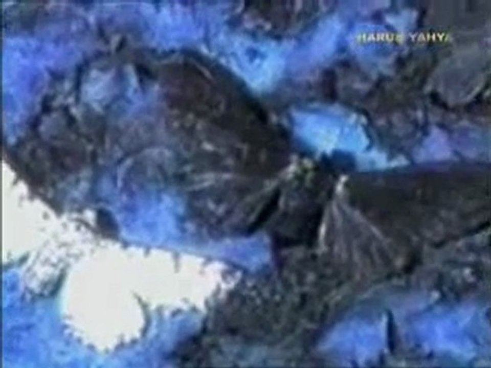 Sanayi kelebekleri hikayesi