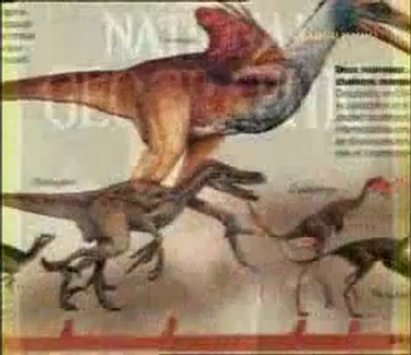 Archaeoraptor liaoningensis (Dino-kuş) sahtekarlığı