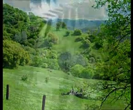 Peygamber Efendimiz (sav) her zaman bağışlanmak için Allah'a dua etmiştir