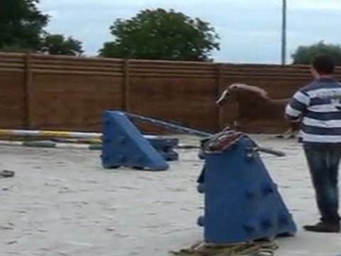 ulk 1ers sauts rond d avrincourt