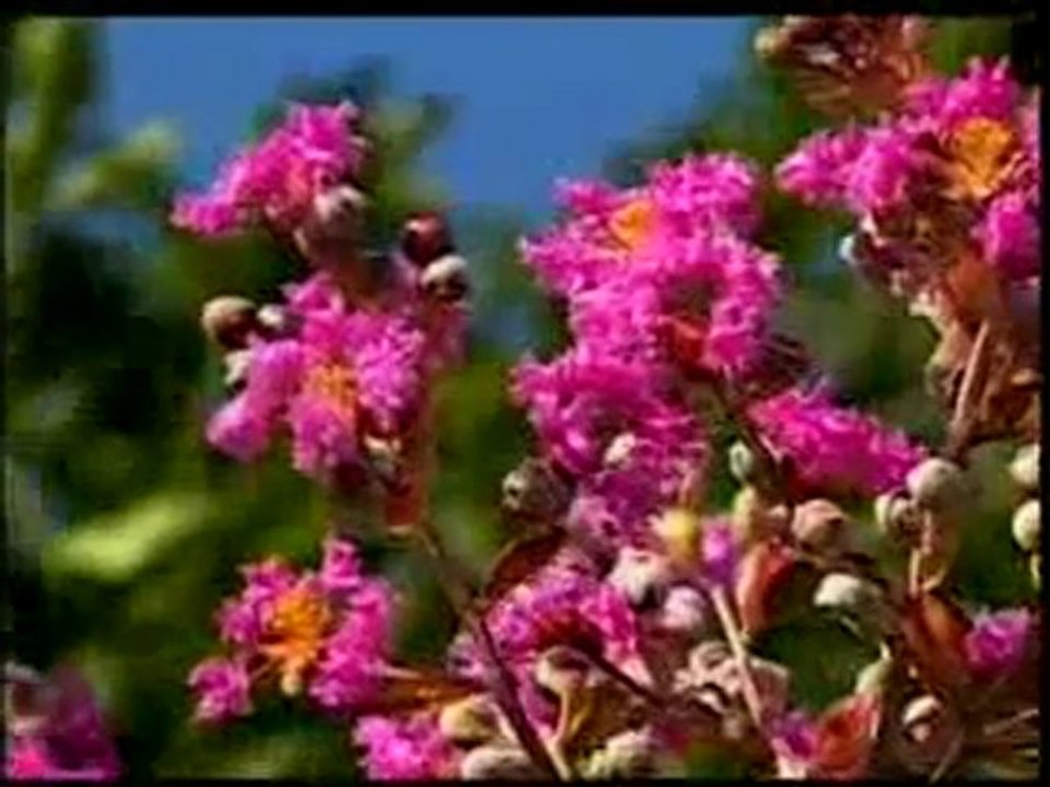 Peygamber Efendimiz (sav) nimetler için şükrederek dua etmiştir