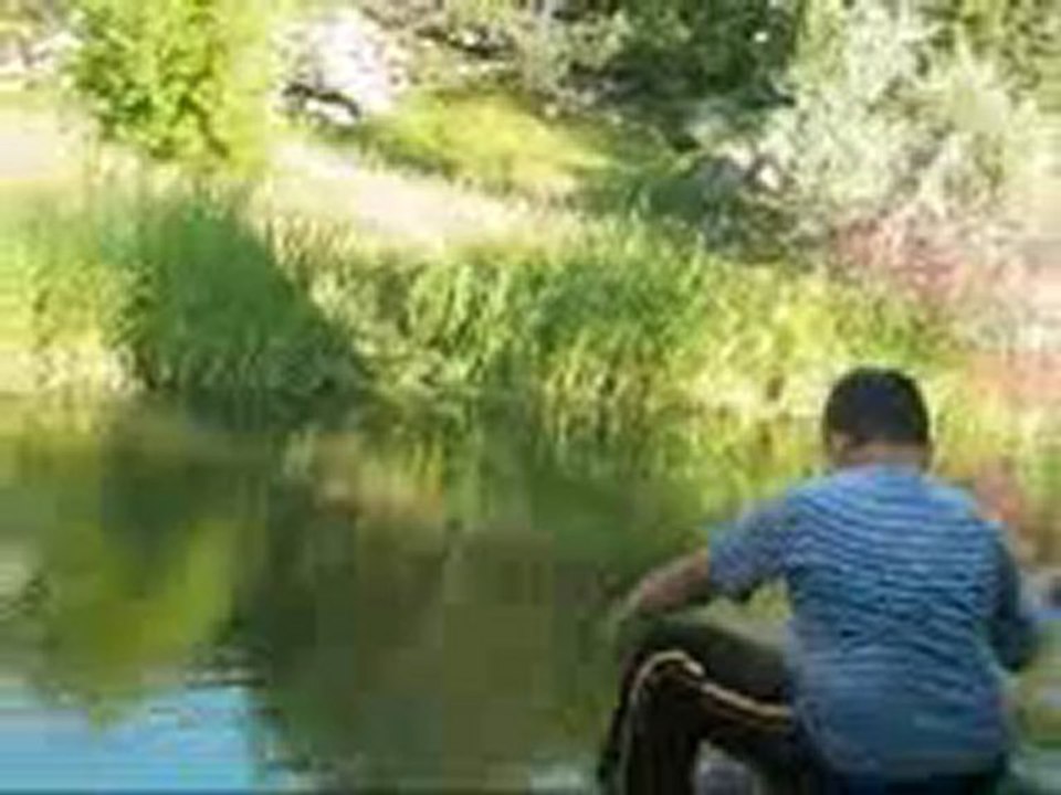 BALIK 2011