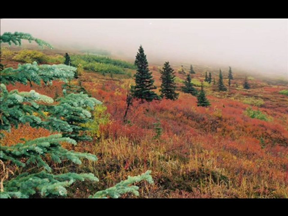 4 saisons autour d'Anchorage