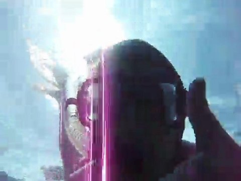 Epave et poissons à Caye Cauker