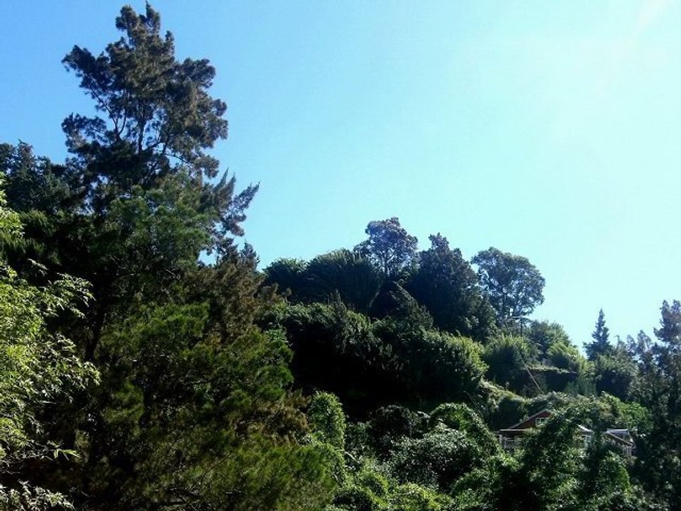 SEGA REUNION + MAURICE