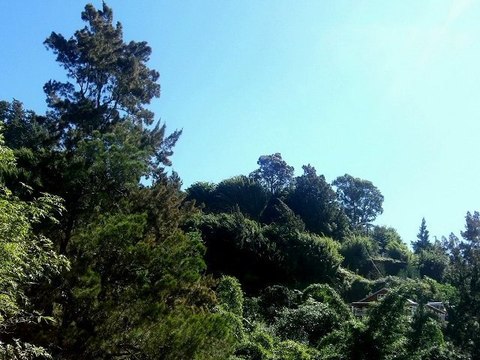 SEGA REUNION + MAURICE