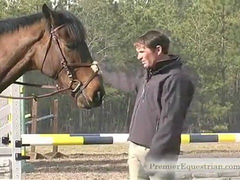 Phillip Dutton Pro Tips - Horse Jumps - Horse Jump Training