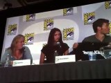 Panel Vampire Diaries