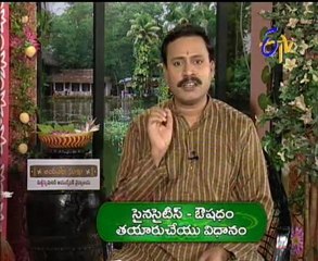 Jeevana Jyothi - Ayurveda - Yoga - Health Treatment - 01