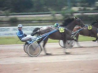 Quiby des Caillons - G.N.T. - Hippodrome de Laval (08/06/2011)