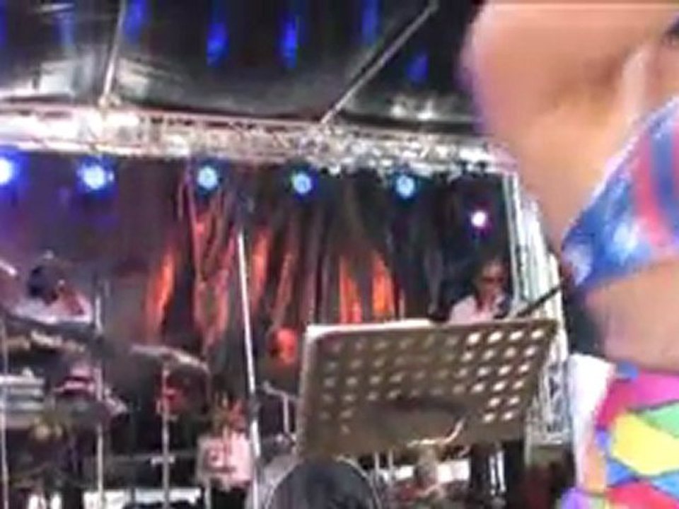 FERRADE DOMAINE DE SULAUZE 2011 (VIDEO N°3)