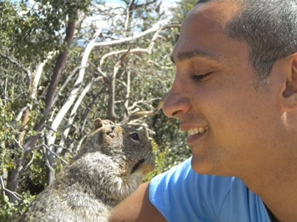 Me singing Stevie Wonder I just called to say I love you