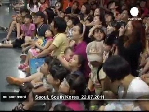 Danse avec les poissons en Coree du sud - no comment