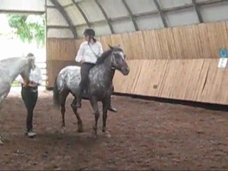 2 ème partie spectacle equestre