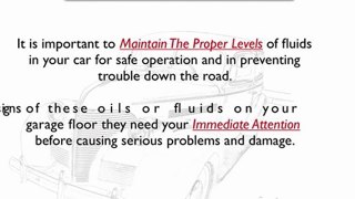 Car Maintenance - Different Fluids Cars Use