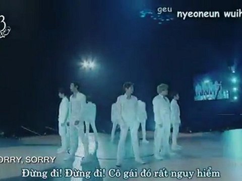 Vietsub+Kara Sorry sorry Super Junior Live