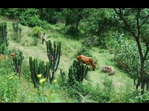 الفنان اليهودي اغاني عن اليمن