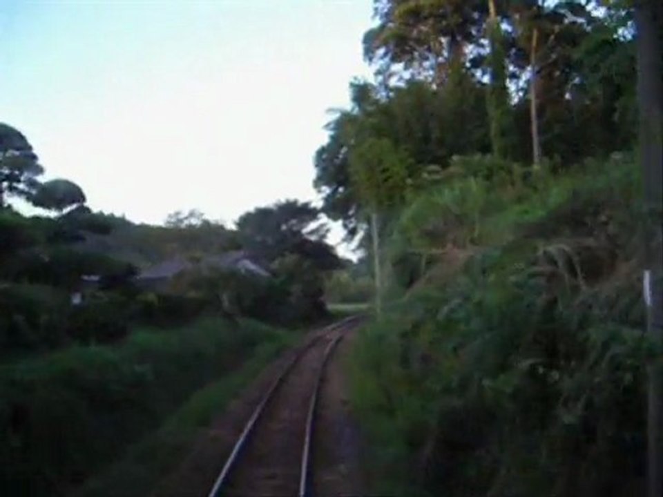 スコット・マーフィー(Scott Murphy)「となりのトトロ」