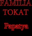 Dj Ateş - FAMILIA TOKAT - Papatya