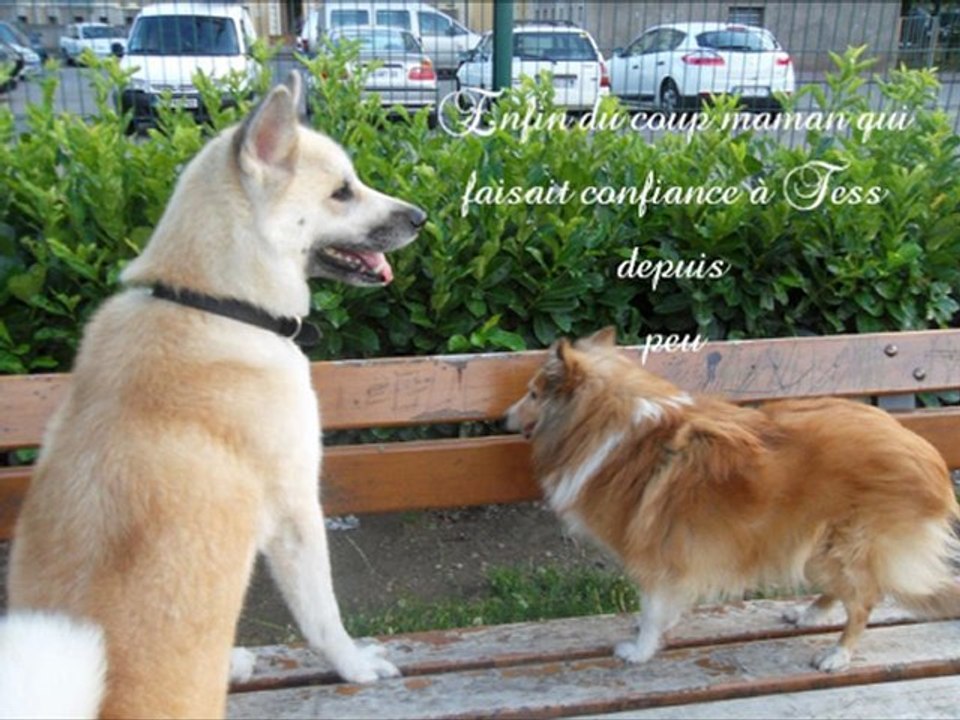 Diapo photos Snooka et Emeraude le 18 07 2011