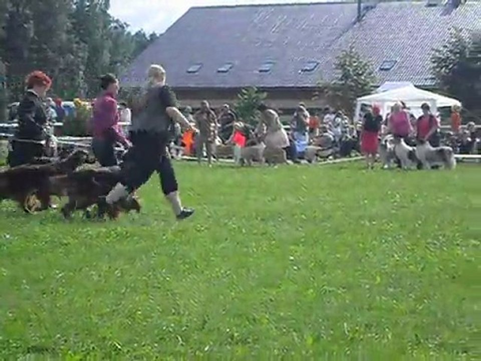 Breeder competition