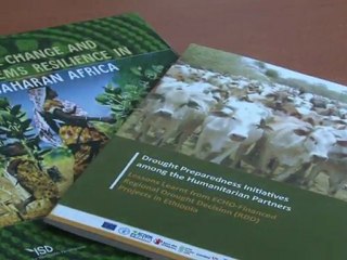 La FAO réclame 120 millions de dollars pour l'Afrique de l'Est