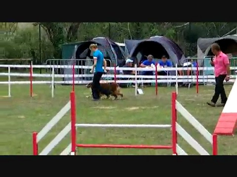 Casper Agility 2ème degré 24 07 2011