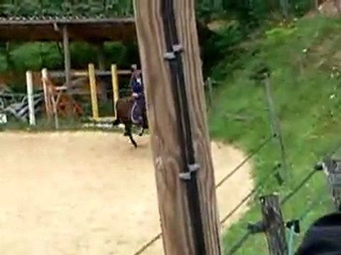 Cours du 23 Juillet 2011 avec Prince ; Détente au galop à droite