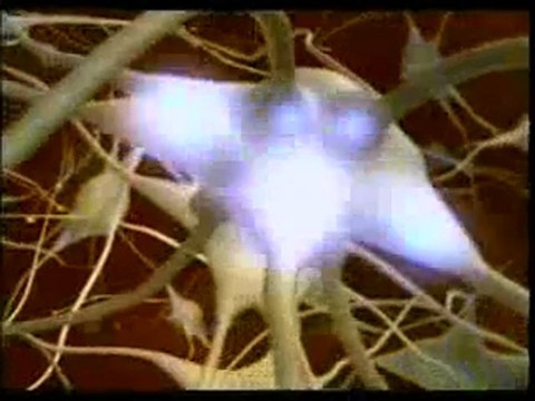 Vücuttaki hassas denge mekanizması ve koordinasyon