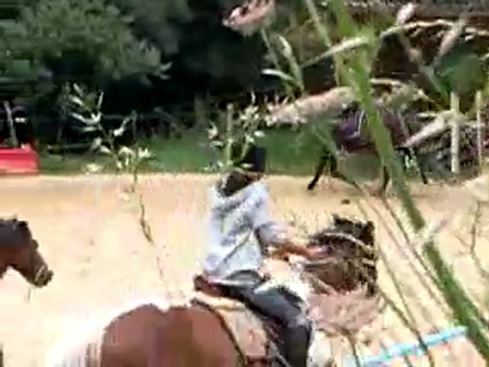 Cours du 23 Juillet 2011 avec Prince